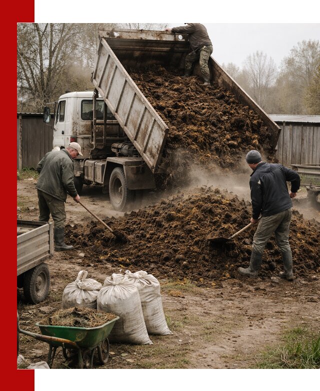 Доставка коровьего навоза самосвалом в Троицке